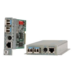 245effadf41c6129f4fe7accc564ef86 XL