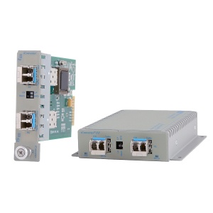 d3b3799d6611d677944f5f86a500beb3 XL